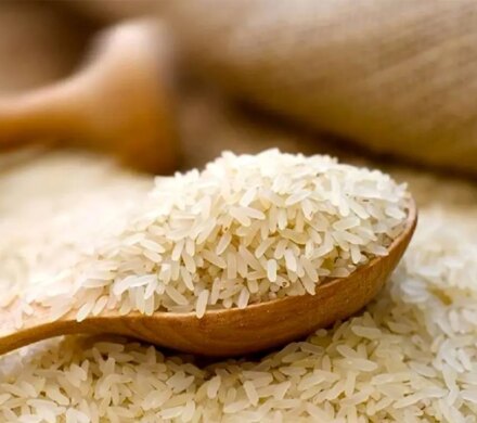 حذف ارز ترجیحی برنج؛ قیمت واقعی هندی و پاکستانی چقدر شد؟حذف ارز ترجیحی برنج: قیمت واقعی هندی و پاکستانی مشخص شد
