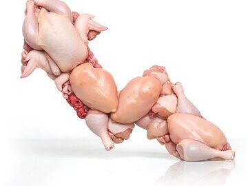 قیمت مرغ در آستانه جهشی بزرگ! – تابناکقیمت مرغ در شرف افزایشی چشمگیر! آخرین اخبار و تحلیل‌ها