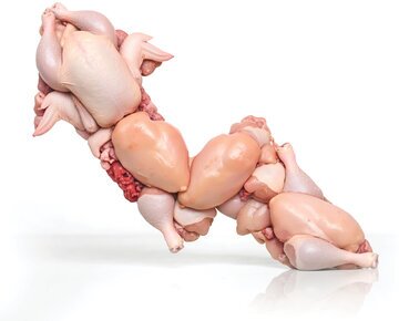 قیمت مرغ در آستانه جهشی بزرگ! – تابناکقیمت مرغ در شرف افزایشی چشمگیر! آخرین اخبار و تحلیل‌ها